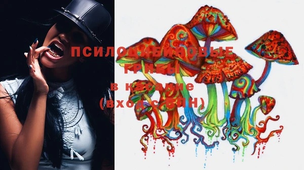 мяу мяу мука Алзамай