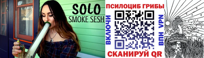 Галлюциногенные грибы Psilocybine cubensis  Невьянск 